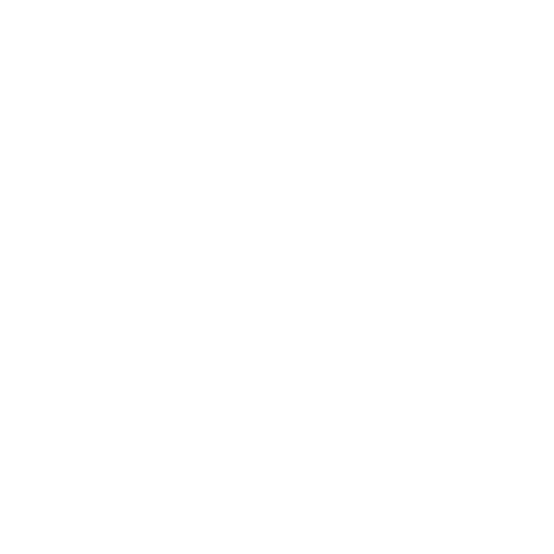 feature-item-1
