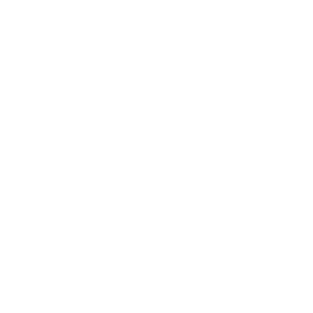 feature-item-3