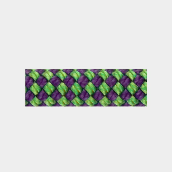 DynaGym 10.6 Dynamic