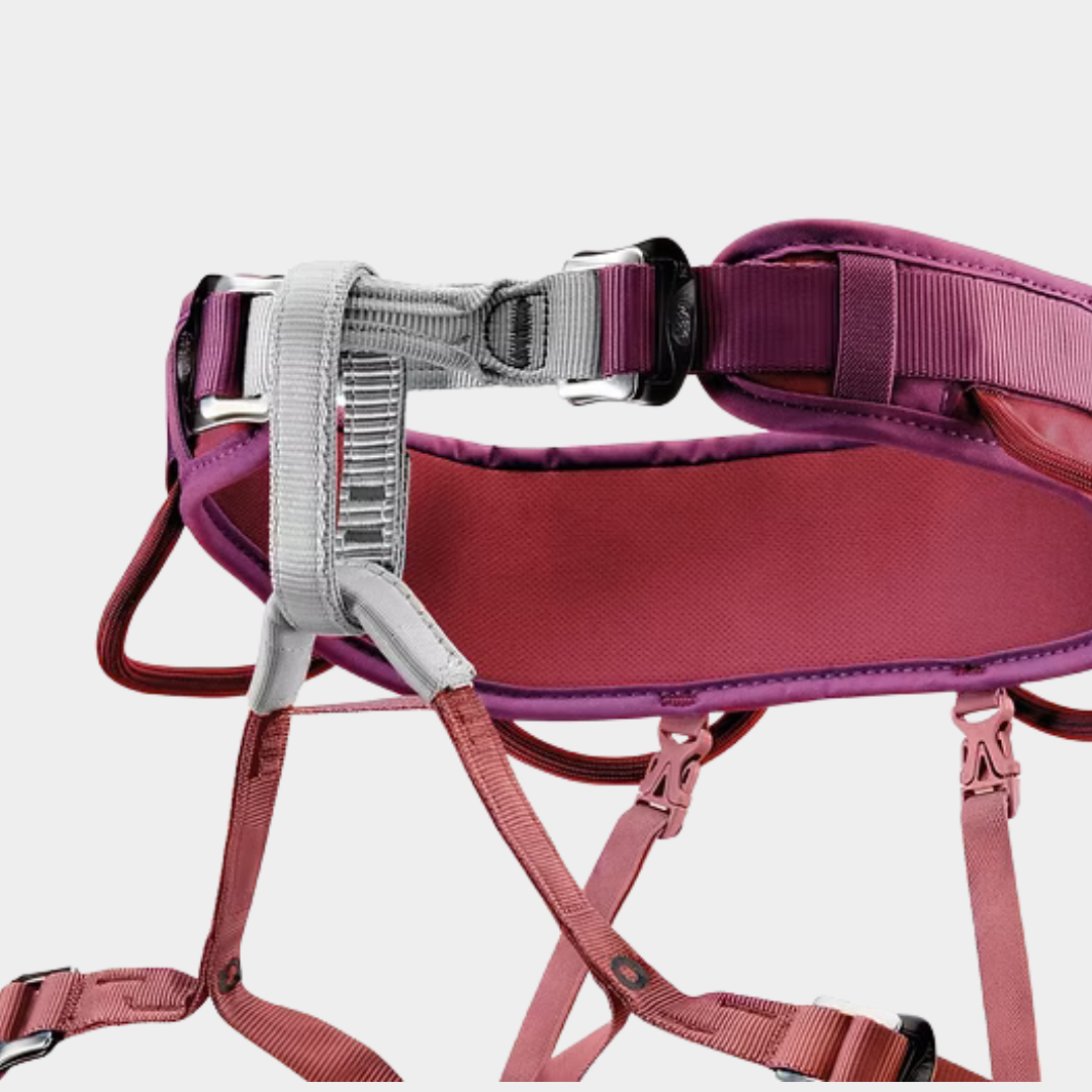 Corax Harness