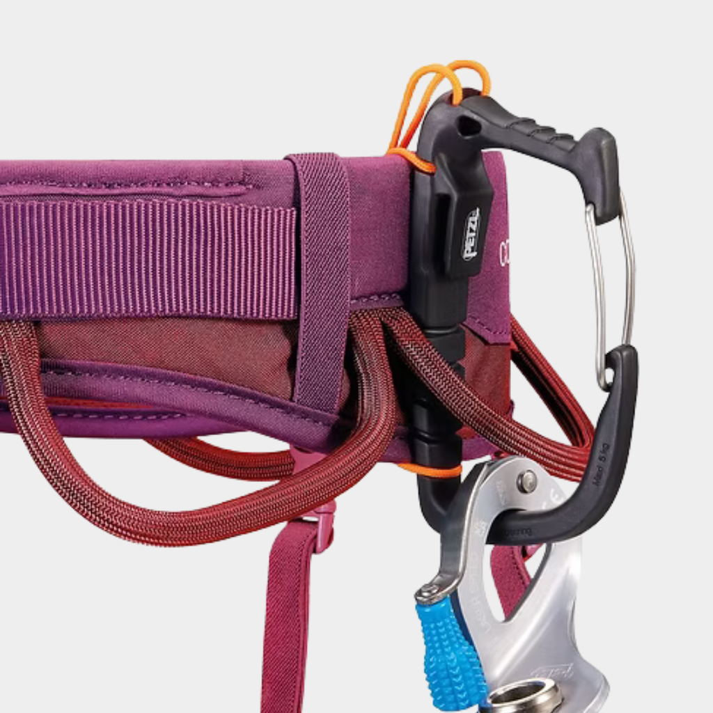 Corax Harness