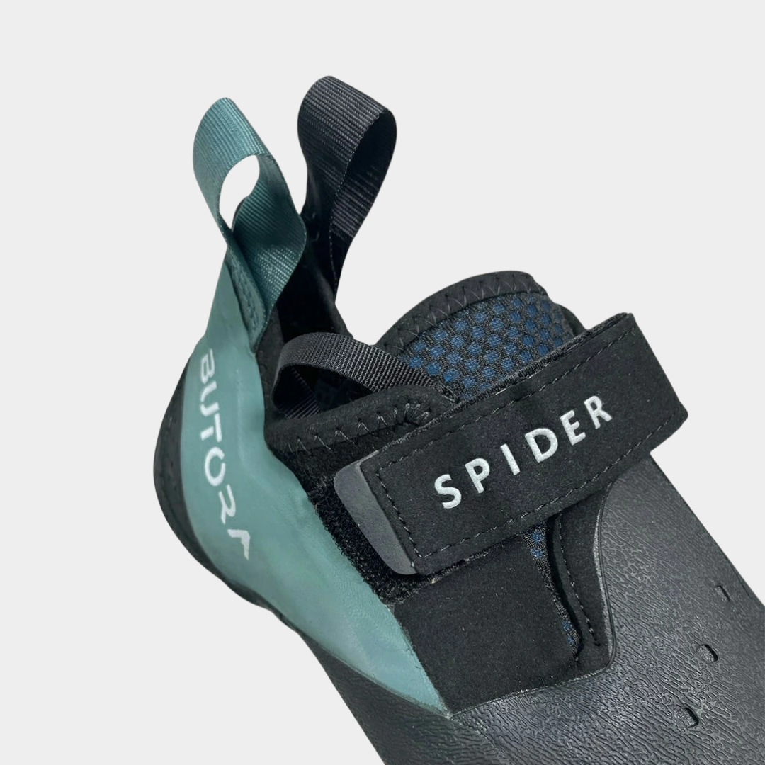 Butora Spider