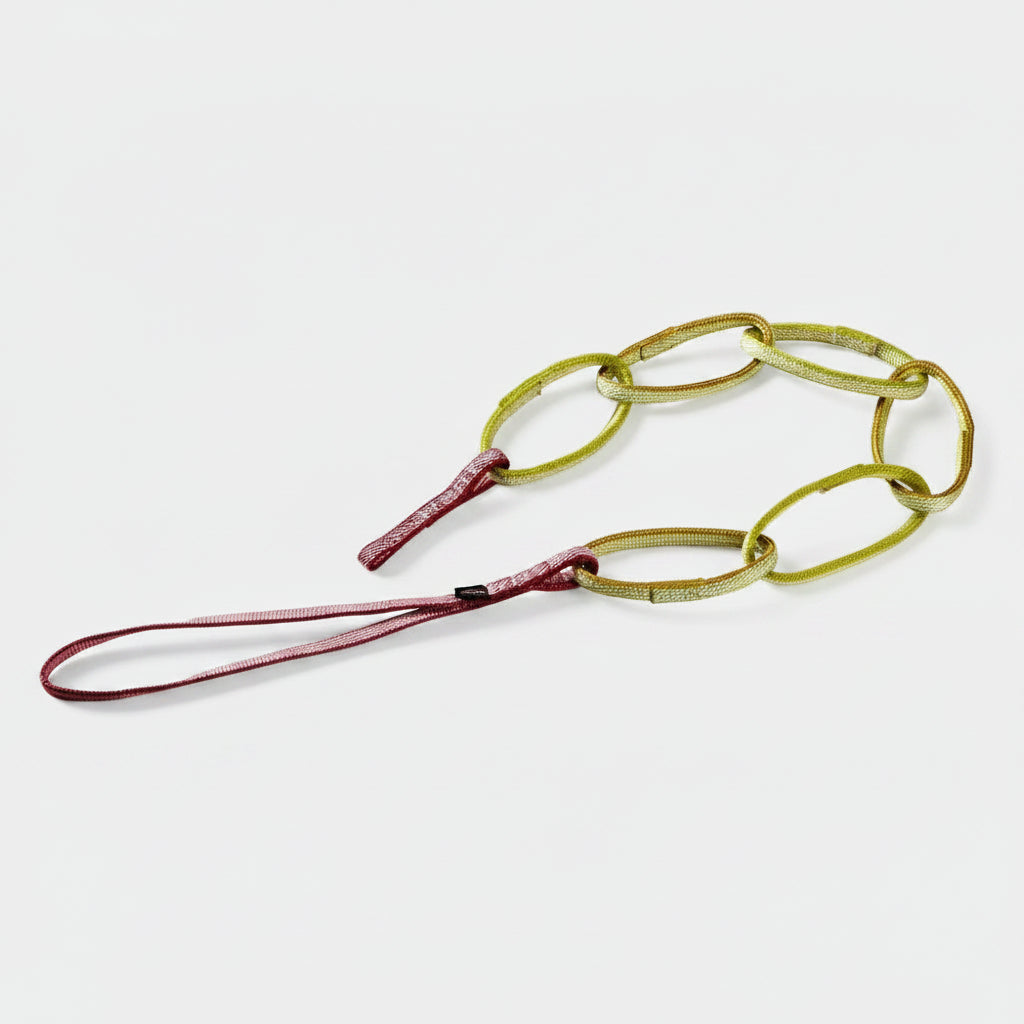 Cycloid Chain