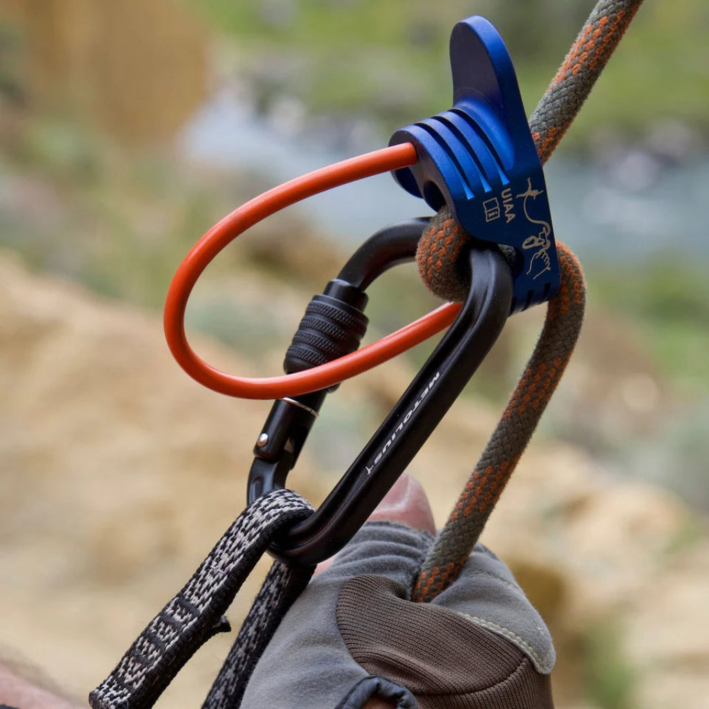 Element II Screw Carabiner